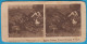 BELGIAN PEASANT WOMEN BRINGING WALNUTS  - Old Stereoscope Stereo Photo Card Carte Annciene Stéréoscopique BELGIUM BELGIE - 1914-18