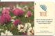 CARTE-PUCE-FINLANDE-1995-SC7-FLEURS TREFLE DES CHAMPS-TBE - Fleurs