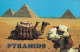 15928- GIZEH PYRAMIDS, CAMELS - Pyramides