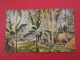 Fiji Village Scene 1914 Ed. Raphael Tuck - Figi