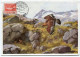 ANDORRE ESPAGNOL CARTE MAXIMUM DU N°27A   20c. AIGLE A TETE BLANCHE  OBLITERATION ANDORRA  5 DIC. 41 - Storia Postale