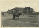 Braine-le-Comte - Ecole Normale - Vue Générale Du Nord - Chevaux De Traits - 1951 ( Voir Verso ) - Braine-le-Comte