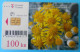 PRIMORSKI KOSTRIS - 100. KN ... Croatia Rare Card - Very High Value 100. Kuna * Flowers Fleurs Fiori Flower Flora Flore - Kroatien