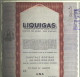 LIQUIGAS - SOCIETA´ PER AZIONI  /   TITOLO  AZIONARIO DA 1  AZIONE  _  1971 - Elektrizität & Gas