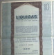 LIQUIGAS - SOCIETA´ PER AZIONI  /   TITOLO  AZIONARIO DA 10  AZIONI  _  1973 - Electricidad & Gas