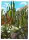 MONACO (06) - Plantes Et Fleurs Du  Jardin Exotique De Monaco ( Candelabre,agave Et Coussin De Belle-mere - Exotische Tuin