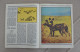 Delcampe - Lithuania Magazine "Musu Gamta"  "Our Nature" - Zeitungen & Zeitschriften