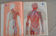 Delcampe - Book Medical And Health Encyclopedia 1975 - Other & Unclassified