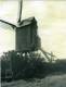 WAASMUNSTER (O.Vl.) - Molen/moulin - Prentkaart Van De Verdwenen Neermolen, Naar Oude Amateurfoto - Waasmunster