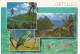 CPA-1990-ANTILLES-ST LUCIE-MULTIVUES-TBE - Saint Lucia