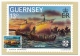 GUERNESEY - 6 Cartes Maximum - Emission Du 28 Avril 1982 - Histoire, Entomologie Etc... + 6 Cartes Premier Jour - Guernsey