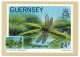 GUERNESEY - 6 Cartes Maximum - Emission Du 28 Avril 1982 - Histoire, Entomologie Etc... + 6 Cartes Premier Jour - Guernesey