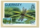 GUERNESEY - 6 Cartes Maximum - Emission Du 28 Avril 1982 - Histoire, Entomologie Etc... + 6 Cartes Premier Jour - Guernsey