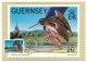 Delcampe - GUERNESEY - 6 Cartes Maximum - Emission Du 28 Avril 1982 - Histoire, Entomologie Etc... + 6 Cartes Premier Jour - Guernesey