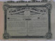 Action Etats Unis 1911 Oklahoma Amalgamated Oil Companies Limited Arizona U.S.A Bearer Certificat 5 Shares $5 - Pétrole