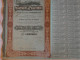 Action 1910 De 500 F Compagnie Generale Fourrures & Pelleteries Anciens Etablissements N Haendler & Fils Paris France - Textile