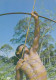 Brazil - Nude Uaika Indian Man W Bow - Amerika