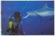 Maldives - Diving - Shark Feeding 1988 Stamp - Maldives