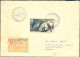 Delcampe - DN-51-MARINE BIRDS-FRENCH EQUATORIAL AFRICA-1953-DELUXE PROOF,PERF OVPT, IMPERF STAMP, COVER Etc-MNH - Marine Web-footed Birds