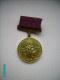 RUSSIA  USSR ,  MEDAL  SOVIET INDUSTRY   ,0 - Rusia