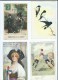 Delcampe - Lot CPA -CPSM -CM -  66 Cartes Divers - 5 - 99 Postcards