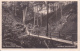 AK Bad Buckow - Märkische Schweiz - Silberkehle Mit Teufelsbrücke - 1935 (13565) - Buckow