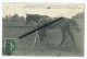 CPA - Courses De Chantilly - Réunion De Printemps - Médéah,pouliche De 3ans,gagnante Du Prix De Diane 1908 - Chantilly