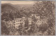 AK DE BW STAMMBERG B. SCHRIESHEIM 1915-10-25 Schriesheim  Foto E. V. König - Neckargemuend