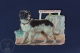 OldNewfoundland Dog  Die Cut Trading Card/ Chromos Topic/ Theme - Animali