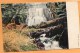 Silver Falls 1905 Postcard - Autres & Non Classés