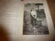 Delcampe - 1882 Nos ALPES :Castellane,Chillon,Lac Du Bourget,Drumettaz,Sisteron,Albertville,Cagnes,Cannes,Mont-Dore-l-B,Evian,etc - 1801-1900