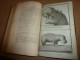 Delcampe - 1783-84 Et 85 Tome 1 Et 2 Second VOYAGE Dans L'intérieur De L'AFRIQUE Par Le Cap De Bonne Espérance , Par F. Levaillant - 1701-1800