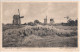 BARUTH Mark Am Mühlenberg 3 Windmühle N 1 Windrad Repeller Molen Mill 10.3.1932 Gelaufen - Baruth