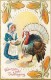 107789-Thanksgiving, Nash Series No 23-1, Pilgrim Girl Feeding Tom Turkey, Embossed Litho - Thanksgiving