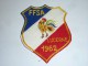 AVIRON BLASON FAIT MAIN - FFSA LUCERNE 1962 - RARE - COQ FRANCE ECUSSON TISSU SPORT BATEAU - Aviron