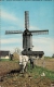 NEDERLAND  Cavallo Al Lavoro  Molen Windmill Moulin A Vent  Fg - Cavalli