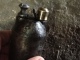 Grenade Francaise Vb Ww1 Neutralise - 1914-18