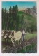 CPM TABLEAUX PYRENEENS, UN LABOUREUR - Bauern