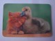 1 CALENDAR SMALL - PORTUGAL ANIMAL CAT DUCK PATO GATO - Grand Format : 1991-00