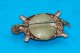 VINTAGE GOLD TURTLE / TORTOISE BROOCH - Brooches