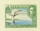 BIRDS-WHITE TAILED TROPIC BIRD-DIE PROOF-BERMUDA-1941-WITH PHOTO NEGATIVE-RARE-MNH-DCN-119 - Marine Web-footed Birds