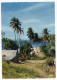 ANTILLES--Rivage Caraibe -cpsm 15 X 10 N° 228 éd  IRIS--Antilles Touristiques - Autres & Non Classés