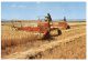 (345) Farming - USA  - Marovian Barley Harvest - Cultivation