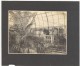 Orchid Anchorage Greenhouse Botanical USA Photo 1925 - Autres & Non Classés