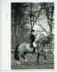 Belgique Cheval Piaffé Dressage Jan Bemelmans Ancienne Photo Vanderhaegen 1980 - Sports