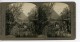 Suisse Interlaken Jardin De L'Hotel Victoria Ancienne Stereo Photo Stereoscope William Rau 1900 - Stereoscopic