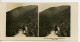 Argentine Cordillere Des Andes Vegetation 1500M Ancienne Stereo Photo Stereoscope NPG 1900 - Stereoscopic