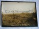 AUTHENTIQUE PHOTO 14-18 ( 17,8 X 13 Cm )  DE LA ZONE DE COMBATS DE PARVILLERS ( BOIS DU MILIEU ) SOMME DE 15.2.1916 - Guerre, Militaire