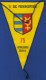 CZECH REPUBLIC PENNANT FOTTBALL SOCCER TJ DAC POLNOHOSPODAR 75 FUTBALOVEHO ODDIELU DUNAJSKA STREDA (15,5 X 26 Cm ) - Bekleidung, Souvenirs Und Sonstige