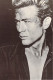 SPECTACLE Artiste - James DEAN  (Cinéma) CPM NEUVE  17 X 12 Cms - Wizard & Genius 9252)) - Entertainers